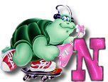 ttttortue-85757-14.jpg