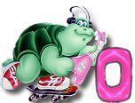 ttttortue-85757-15.jpg