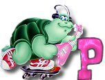 ttttortue-85757-16.jpg