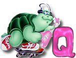 ttttortue-85757-17.jpg