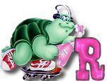 ttttortue-85757-18.jpg