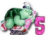 ttttortue-85757-19.jpg