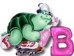 ttttortue-85757-2.jpg