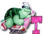 ttttortue-85757-20.jpg
