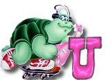 ttttortue-85757-21.jpg