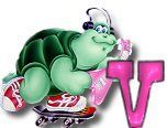 ttttortue-85757-22.jpg