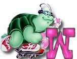 ttttortue-85757-23.jpg