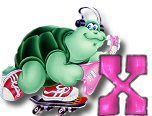 ttttortue-85757-24.jpg