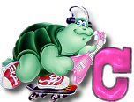 ttttortue-85757-3.jpg