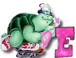 ttttortue-85757-5.jpg