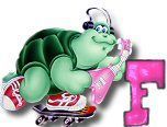 ttttortue-85757-6.jpg