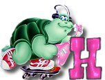 ttttortue-85757-8.jpg