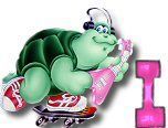 ttttortue-85757-9.jpg