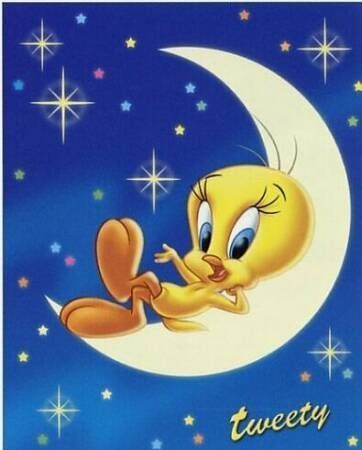 tweety-13434344954959569065906590650.jpg