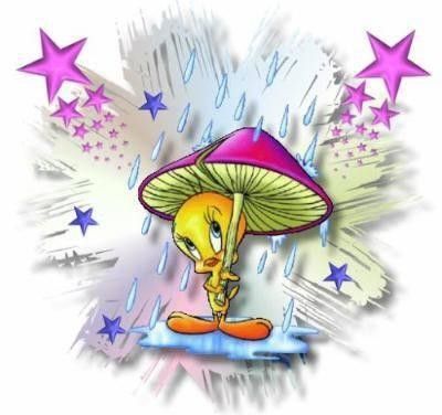 tweety-15677671.jpg