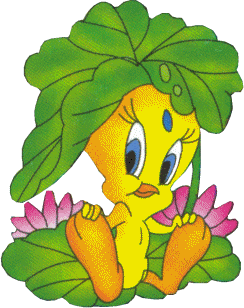 tweety-24.gif