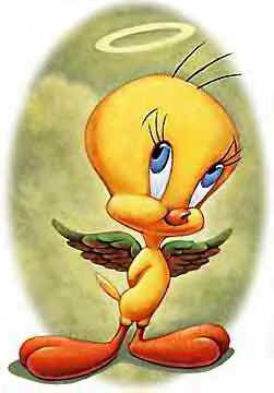 tweety-4545456656_1.jpg