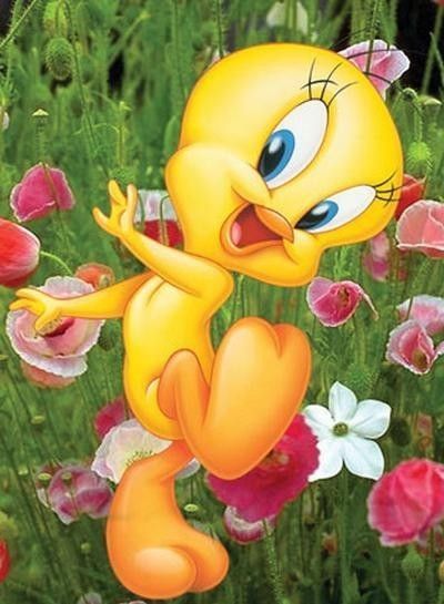 tweety-565561.jpg