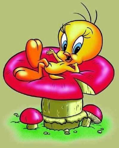 tweety-6.jpg