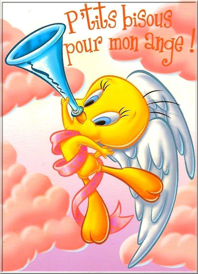 tweety-87899898982_1.jpg