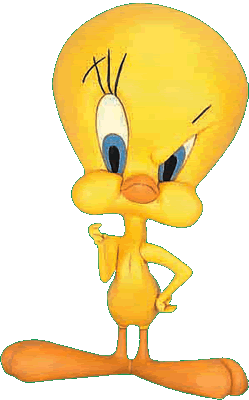 tweety-88_1.gif