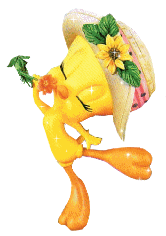 tweety-9988787.gif