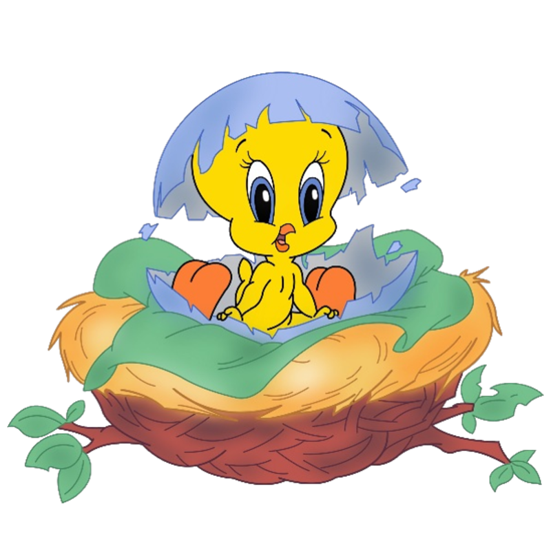 tweety_bird20005.png