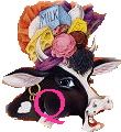 vach-43433554a-01-17.gif