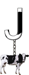 vachA-Cow-Charm_tr_ccnan-10.gif