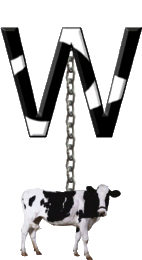 vachA-Cow-Charm_tr_ccnan-23.gif