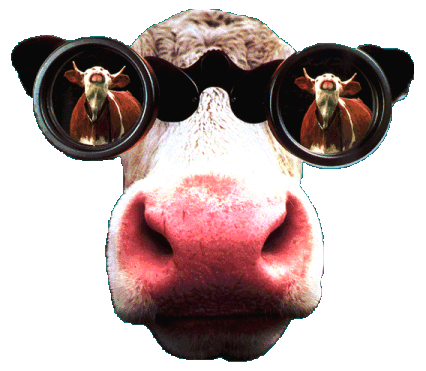 vache-105.gif