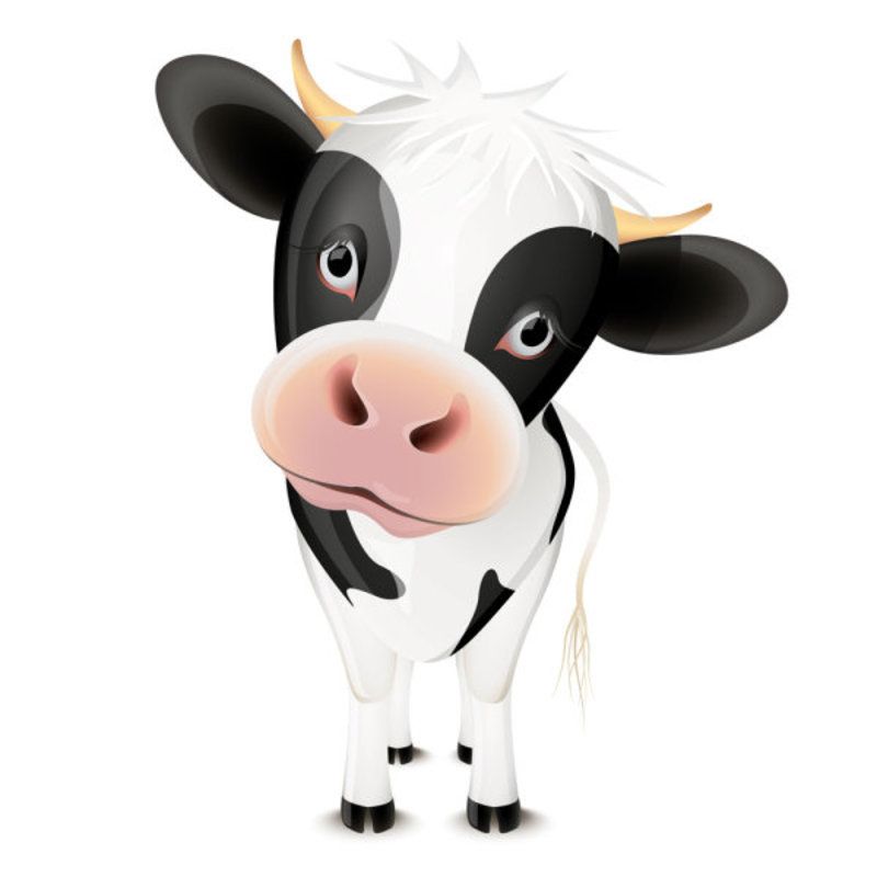 vache-25455454.jpg