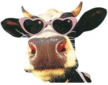 vache-44567990.png