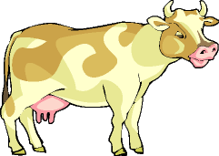 vache-51.gif