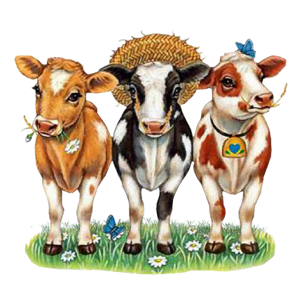 vache-70909876.png