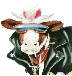 vache-73.gif