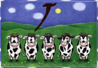 vache-943340A-10.gif