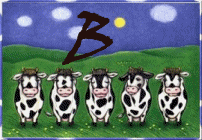 vache-943340A-2.gif