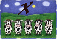 vache-943340A-24.gif