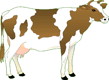 vache-96.gif