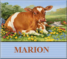 vache_tag_marion.gif