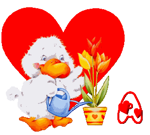 valentin-0077944888-1.gif