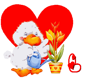 valentin-0077944888-12.gif