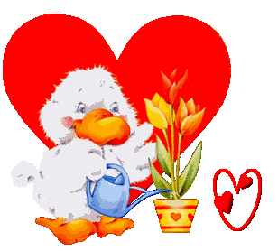 valentin-0077944888-22.gif