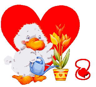 valentin-0077944888-26.gif