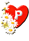 valentin-564545545477-16.gif