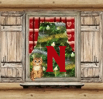 voletnoelN.gif