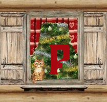 voletnoelP.gif