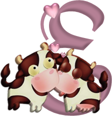 vvvache-9990-5.png