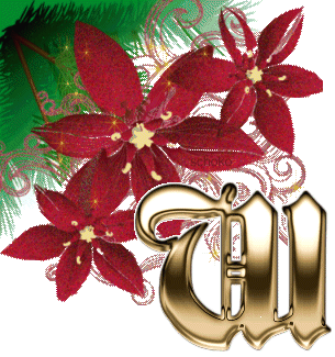weihnachtsstern_schoko_w.gif